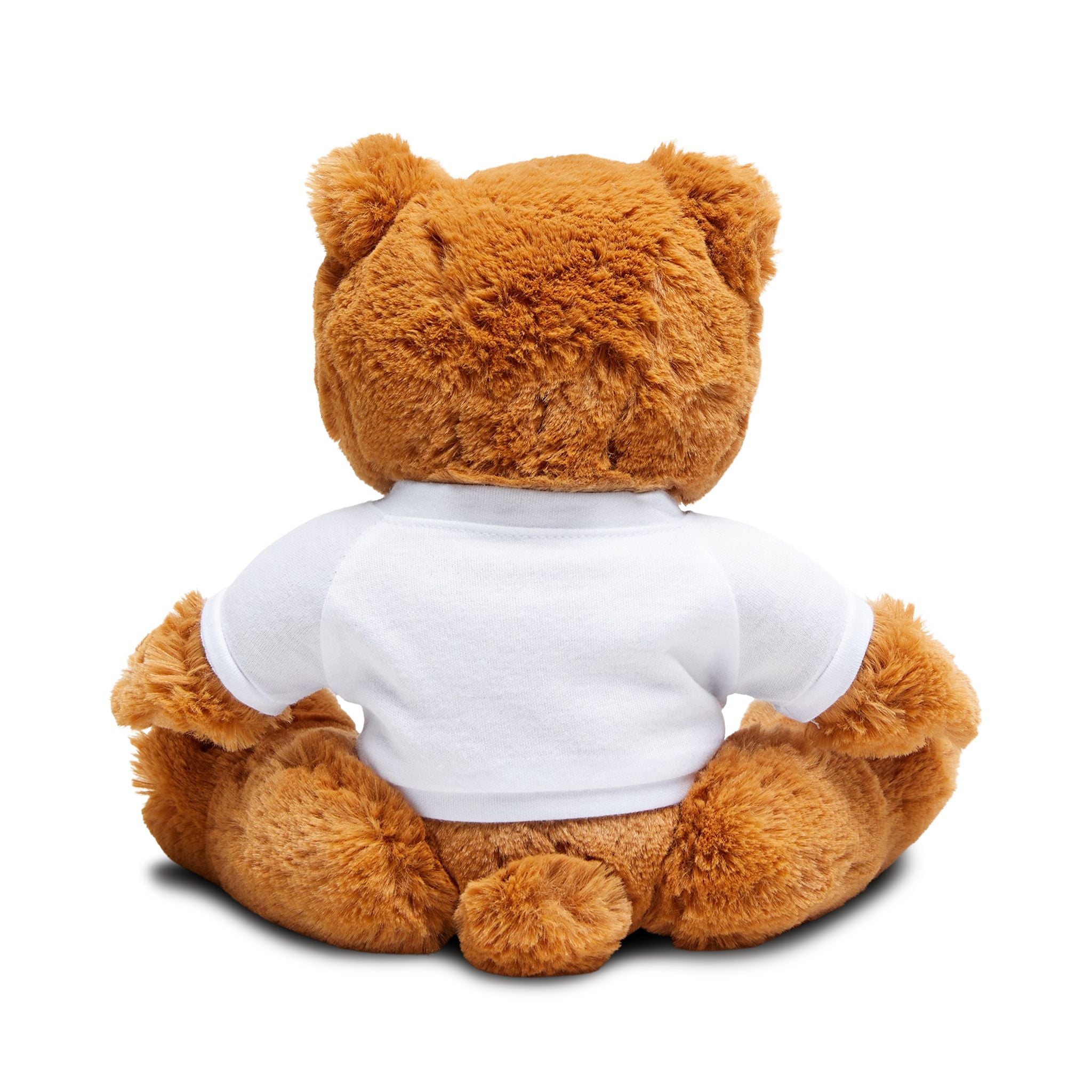 Funny Teddy Bear
